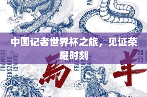 中国记者世界杯之旅，见证荣耀时刻眉山市正发家政服务有限公司