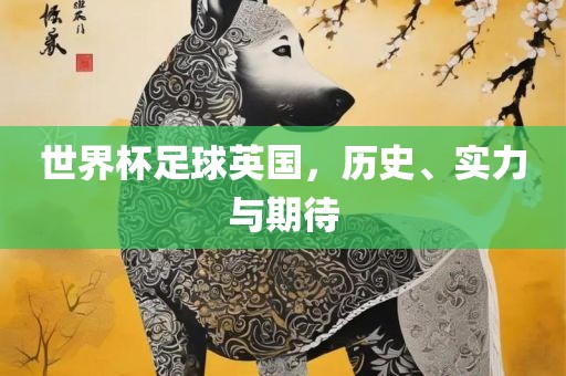 世界杯足球英国，历史、实力与期待眉山市正发家政服务有限公司