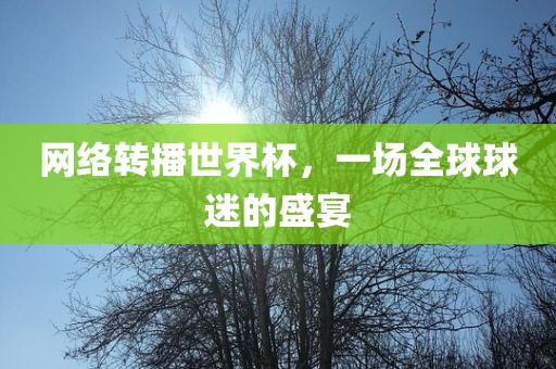 网络转播世界杯，一场全球球迷的盛宴