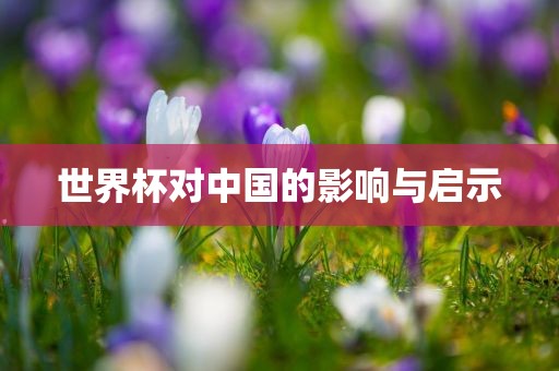 世界杯对中国的影响与启示
