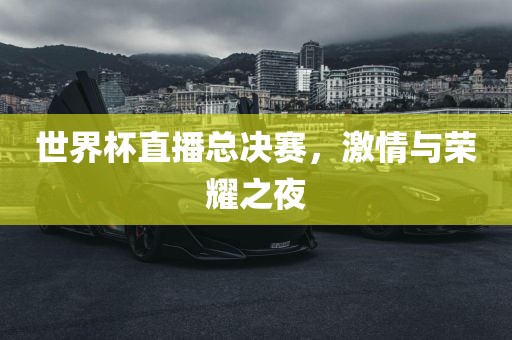 世界杯直播总决赛，激情与荣耀之夜