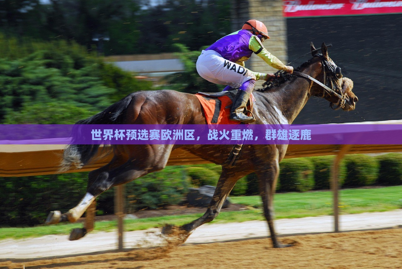 群雄逐鹿 第5页
